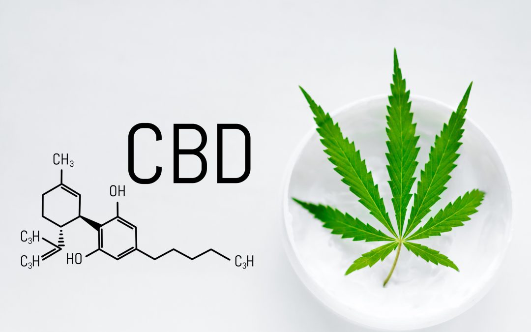 Top Reasons to Purchase CBD Products from a Spokane Dispensary vs. Online