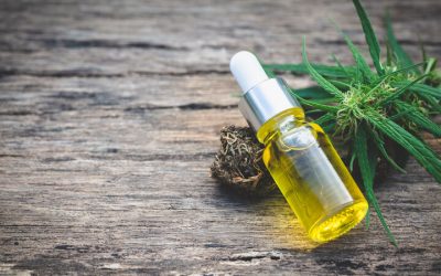 Medical Cannabis Store Byram MS: Your Guide to Health and Wellness