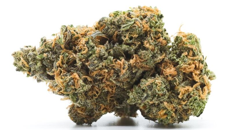 Physical Characteristics and Growth Benefits of Indica Strains