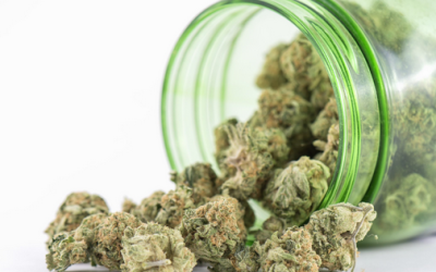 Uncover the Ultimate Cannabis Store Biloxi MS Experience for Quality Products