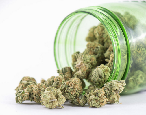 Uncover the Ultimate Cannabis Store Biloxi MS Experience for Quality Products
